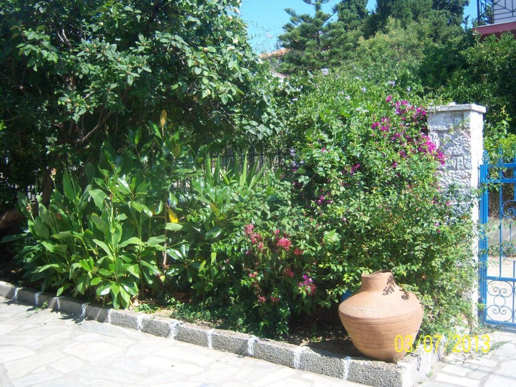 Smile Stella Studios Skopelos stad Rum bild