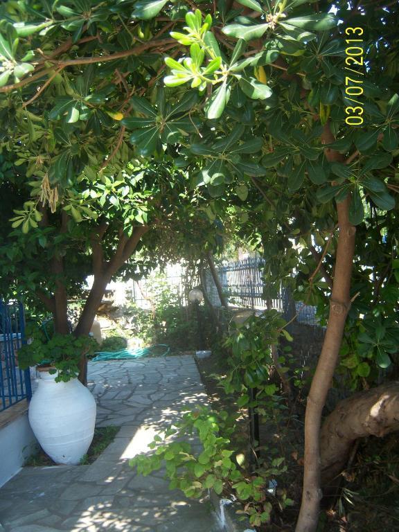 Smile Stella Studios Skopelos stad Rum bild